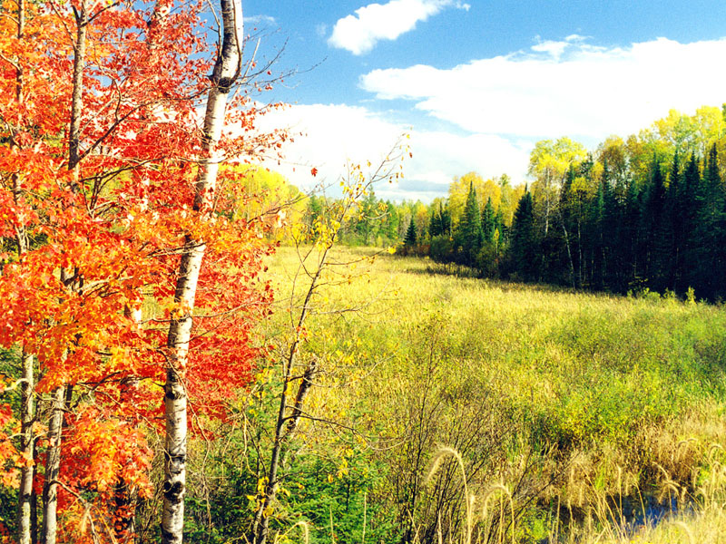 Edge of Wilderness National Scenic Byway
