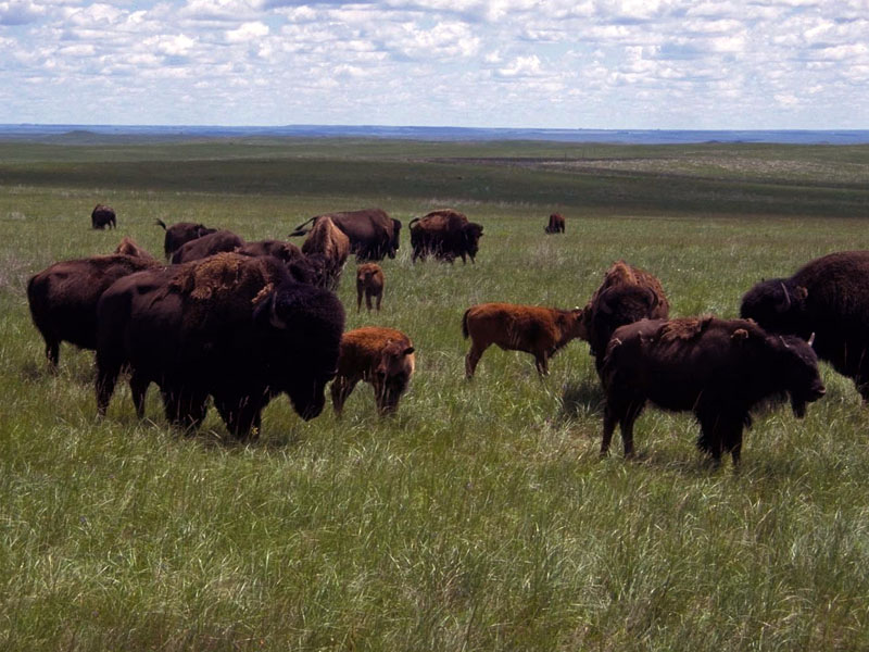 Standing Rock Native American Scenic Byway – SD Standing Rock Native American Scenic Byway – SD